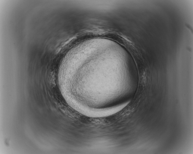 X0000100781205200807101808