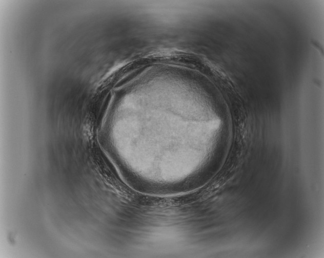 X0000100781206200807101808