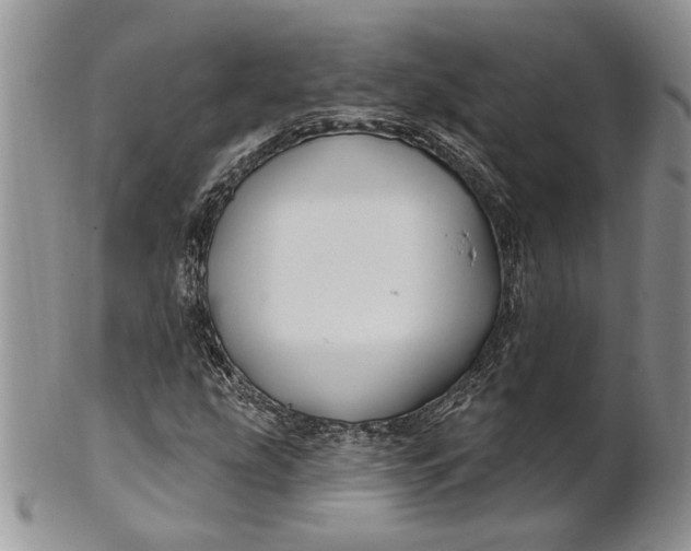 X0000100781207200807101808