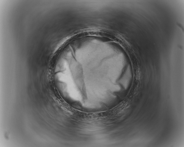 X0000100781208200807101808