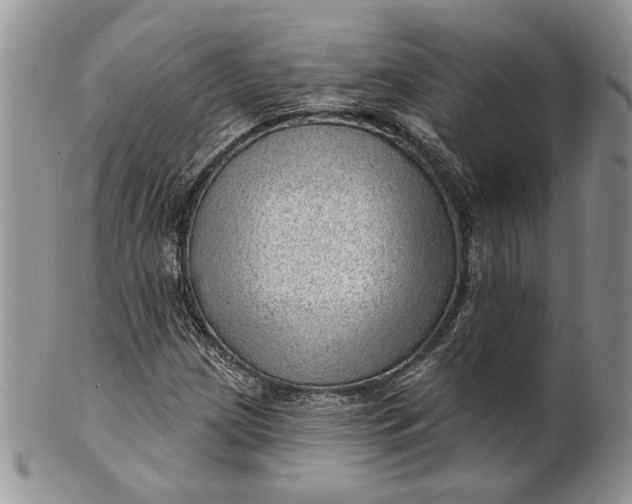 X0000100781209200807101808