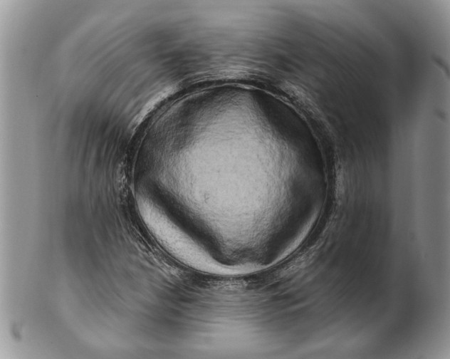 X0000100781210200807101808