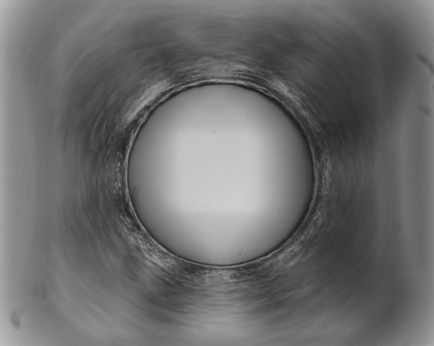 X0000100781211200807101808