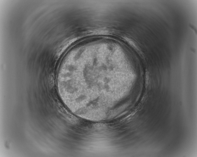 X0000100781212200807101808