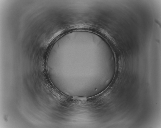 X0000100781213200807101808