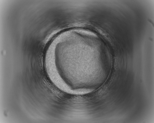 X0000100781214200807101808