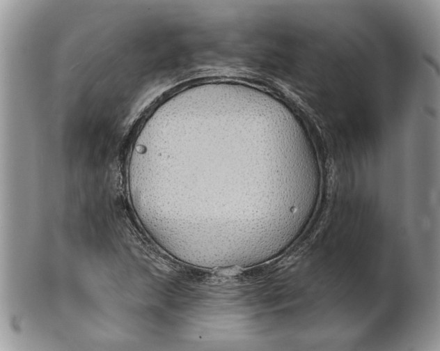 X0000100781215200807101808