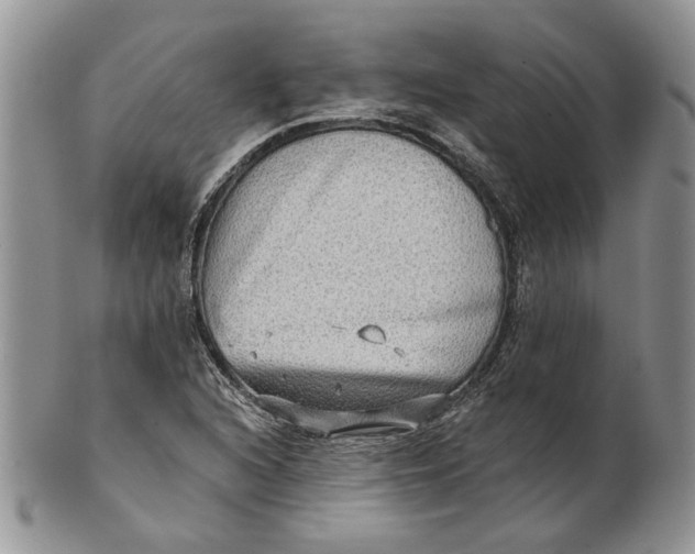 X0000100781216200807101808