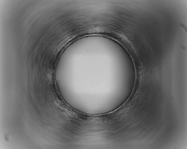 X0000100781217200807101808