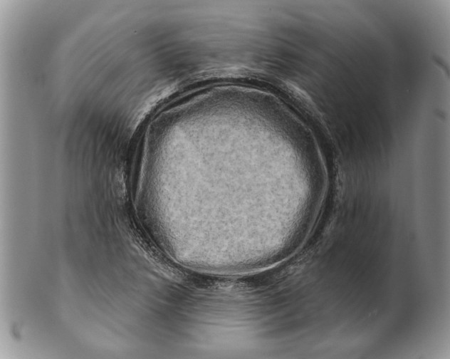 X0000100781218200807101808