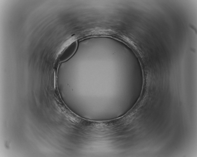 X0000100781219200807101808