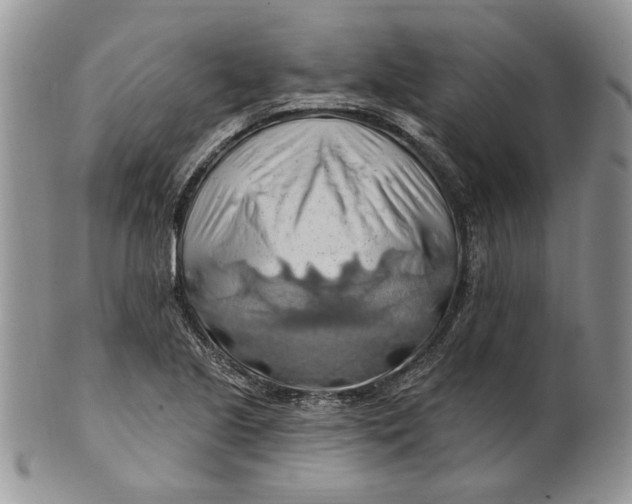 X0000100781221200807101808