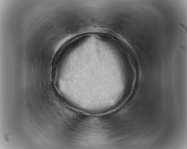 X0000100781222200807101808