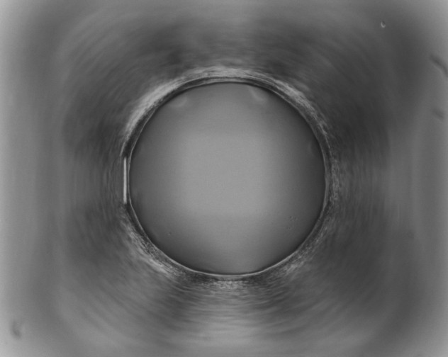 X0000100781223200807101808