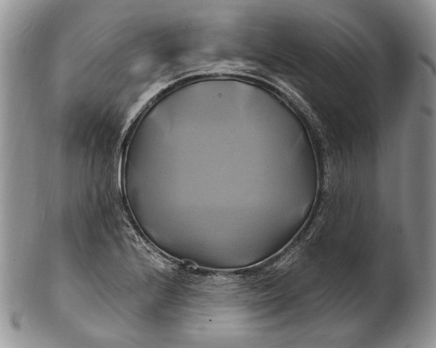 X0000100781224200807101808