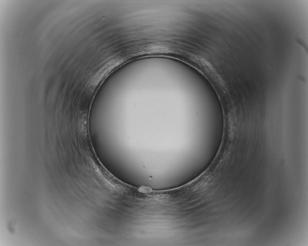 X0000100781225200807101808