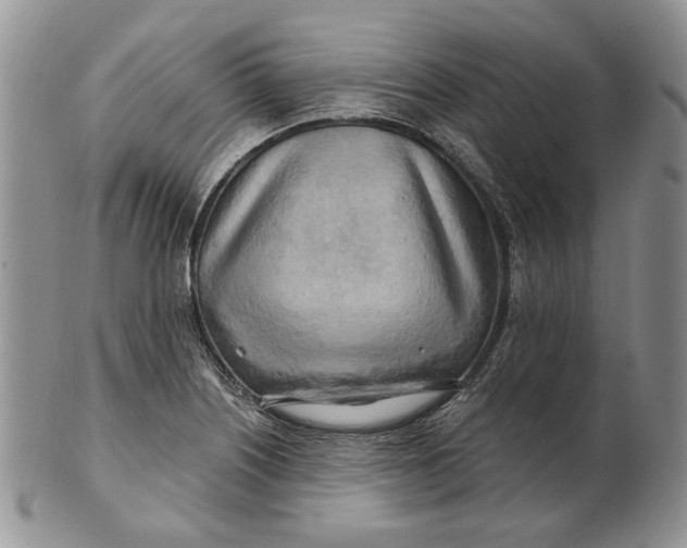 X0000100781226200807101808