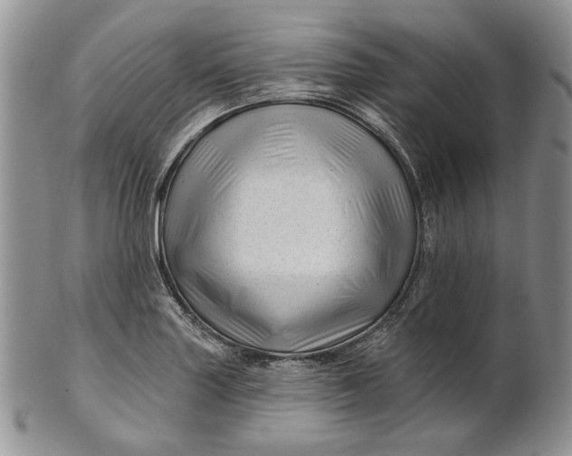 X0000100781227200807101808