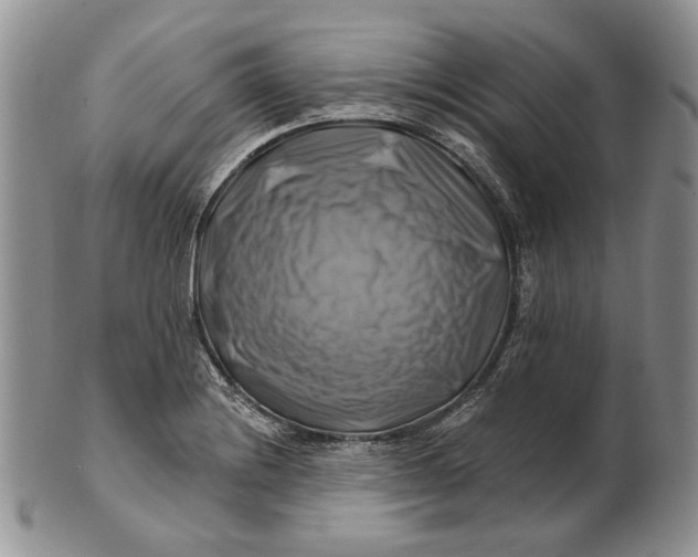 X0000100781228200807101808