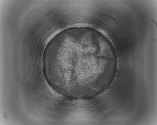 X0000100781229200807101808