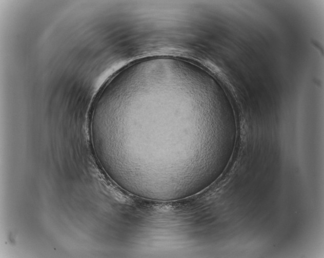 X0000100781230200807101808