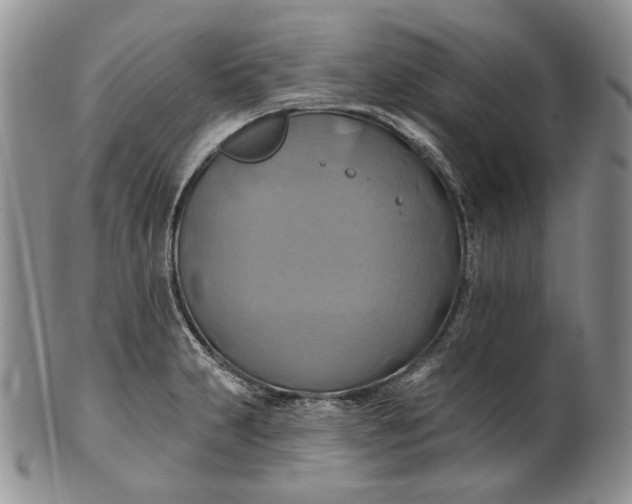 X0000100781231200807101808