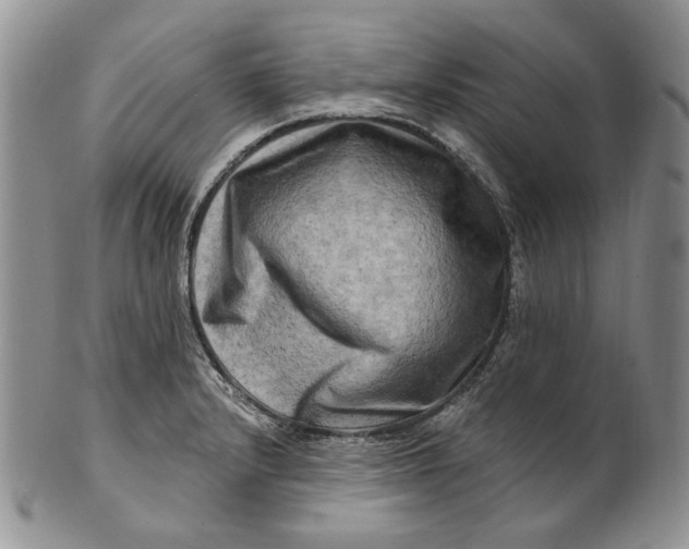 X0000100781232200807101808