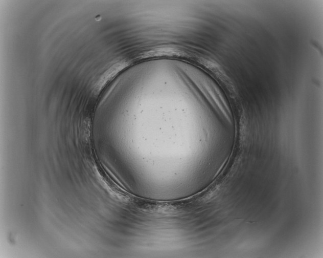 X0000100781233200807101808