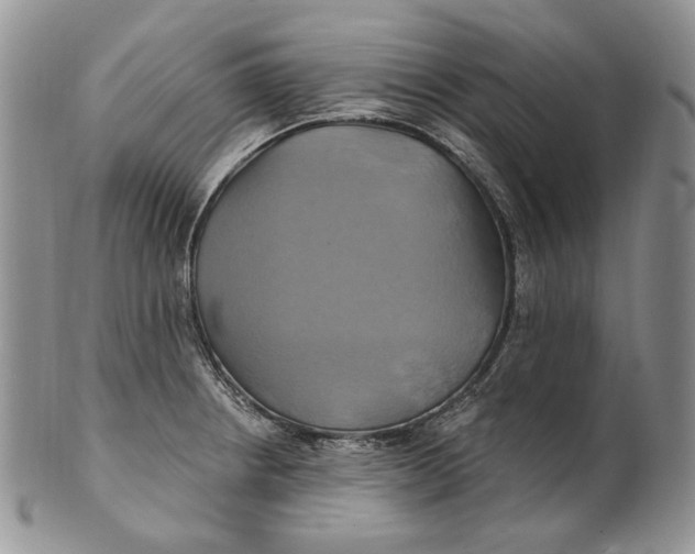 X0000100781234200807101808