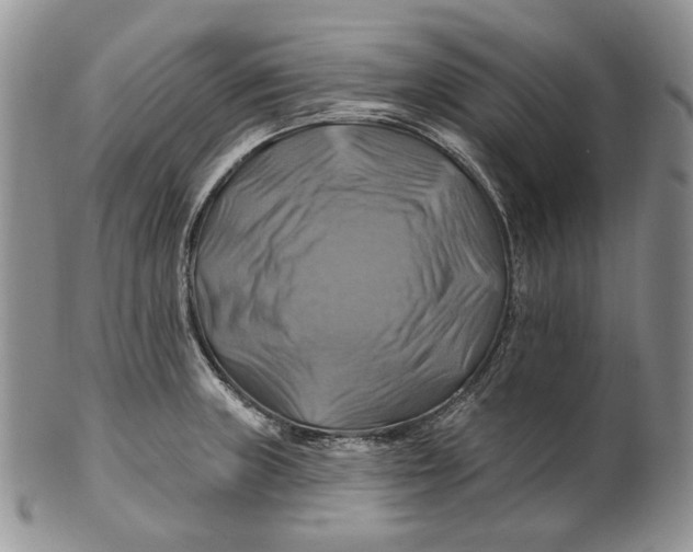 X0000100781235200807101808