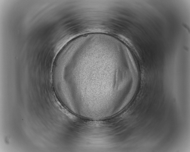 X0000100781236200807101808