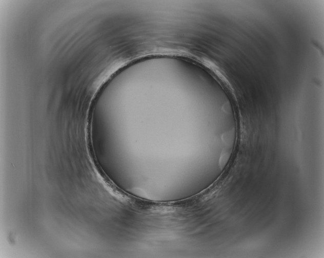 X0000100781237200807101808