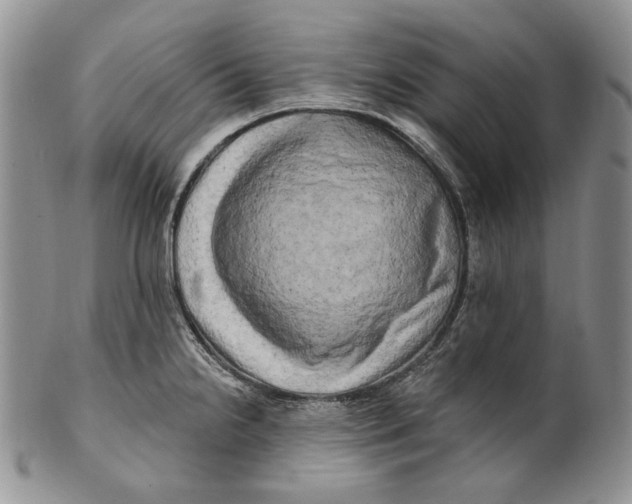 X0000100781238200807101808