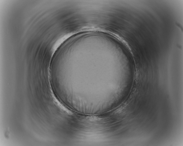 X0000100781239200807101808