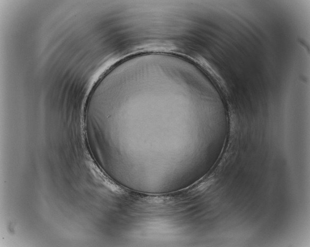 X0000100781240200807101808