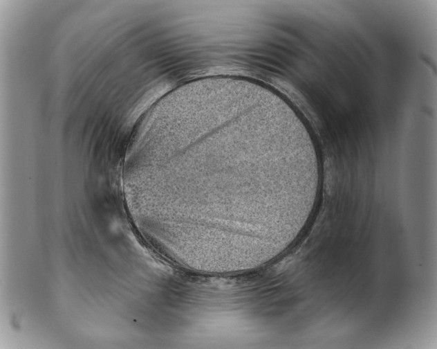 X0000100781241200807101808