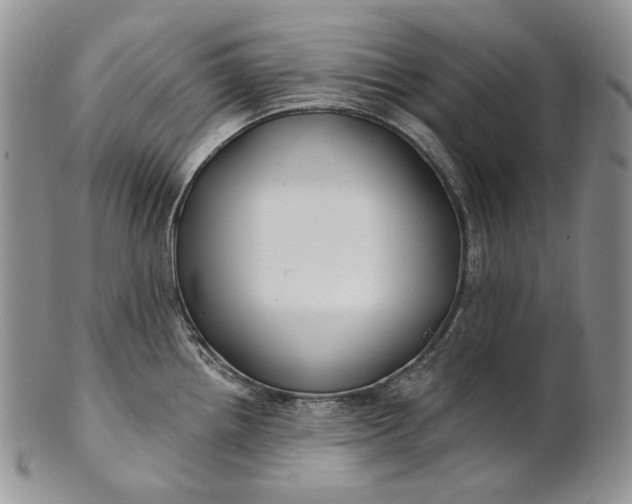 X0000100781242200807101808