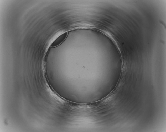 X0000100781243200807101808