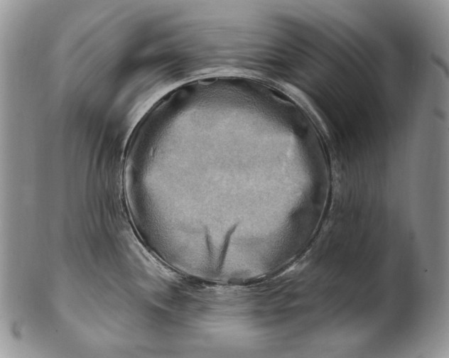 X0000100781244200807101808