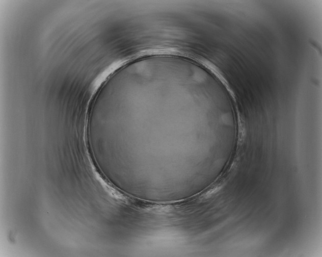 X0000100781245200807101808