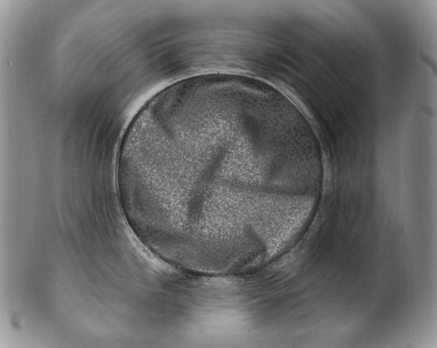 X0000100781246200807101808