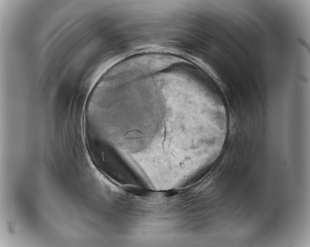 X0000100781247200807101808