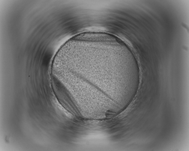 X0000100781248200807101808