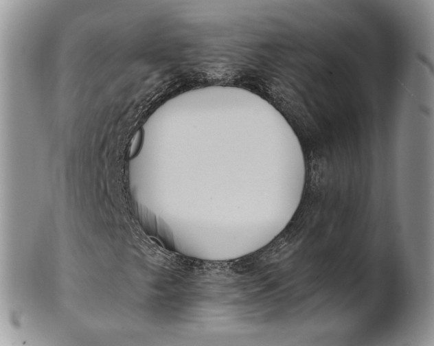 X0000100781249200807101808