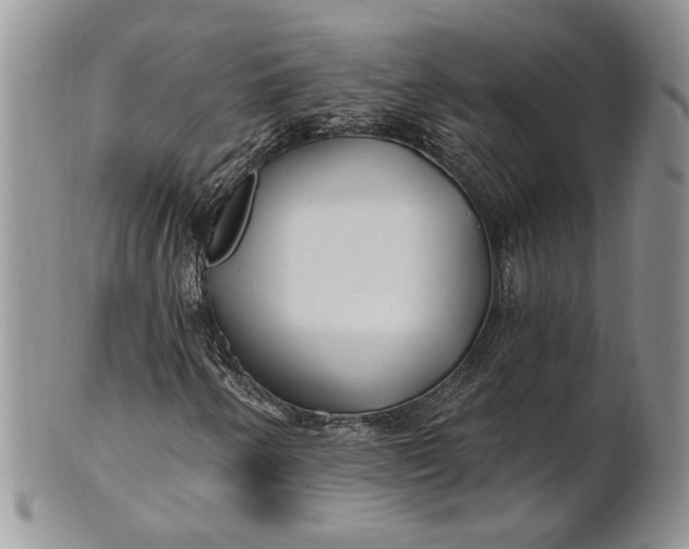 X0000100781250200807101808