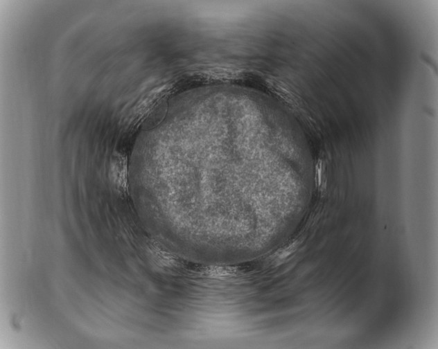 X0000100781251200807101808