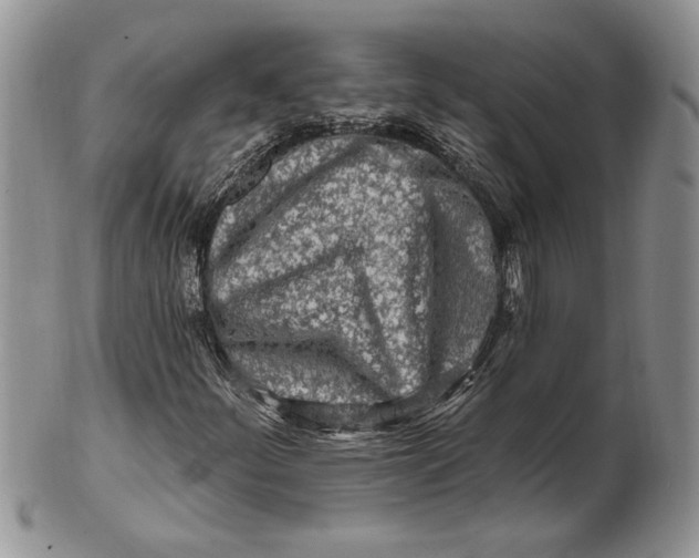 X0000100781252200807101808