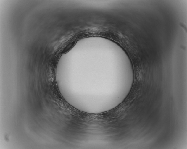 X0000100781253200807101808