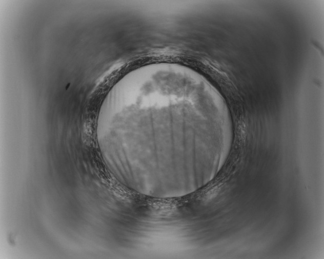 X0000100781254200807101808