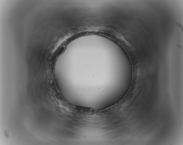 X0000100781256200807101807